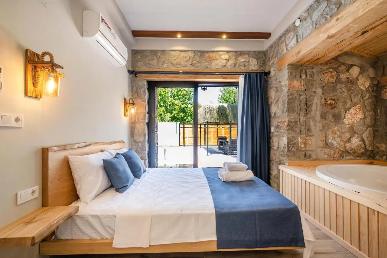 别墅 Muestakil Havuzlu Jakuzili Tatil Villasi 费特希耶